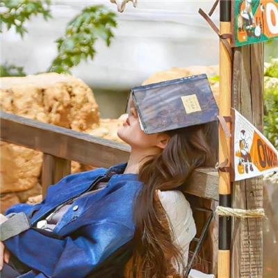 初步举证