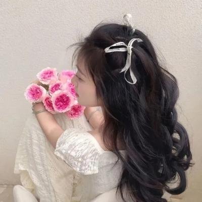 史提芬京之红玫凶宅